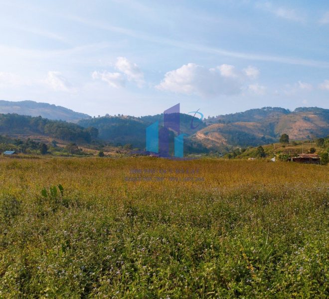 z5067915748997_64c329595585f1bf156927ce77870f98