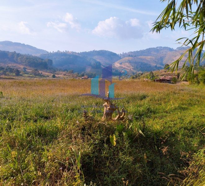 z5067915756907_2a889403ede8eba576614fdf89ef6cbf