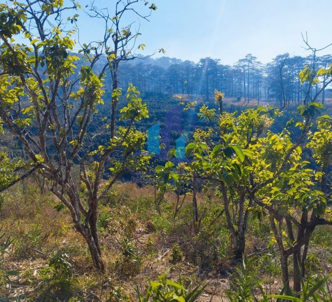 z5188961007390_f6dae2c97a03dee4910005355bd2dfe6