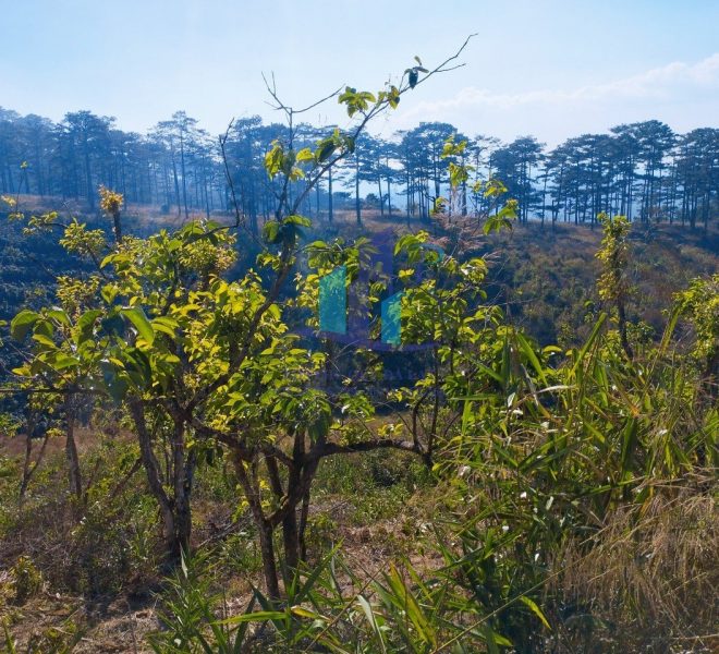 z5188961100709_fa10b3655bcb8a177d3b263355200b7c