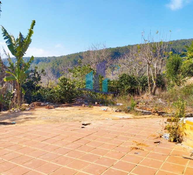 z5188966767739_30e59602f33c3a3015ecc697c2f2cba3