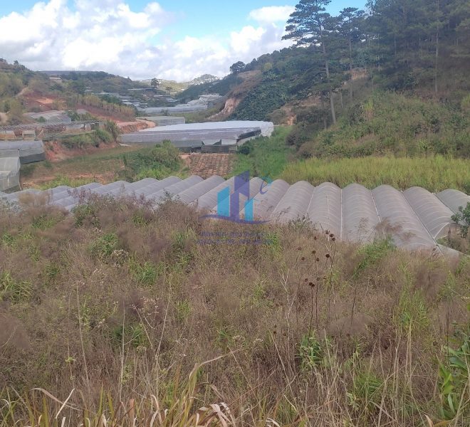 z5197708039658_4ef601492f810f1782d33b1a793b68c7