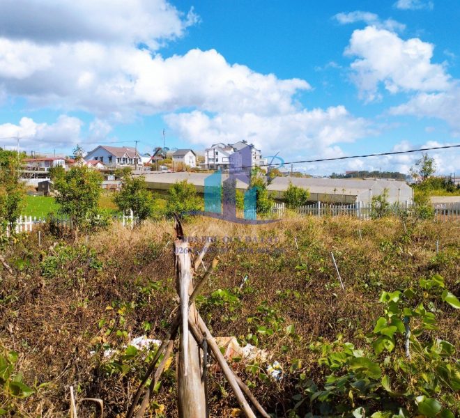 z5197722158911_8079199d5e542f811693d105f9ce20c6