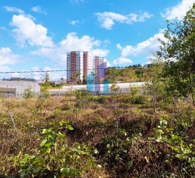 z5197722168361_b0cdf294f75e5677bd90e279c1db6a3b