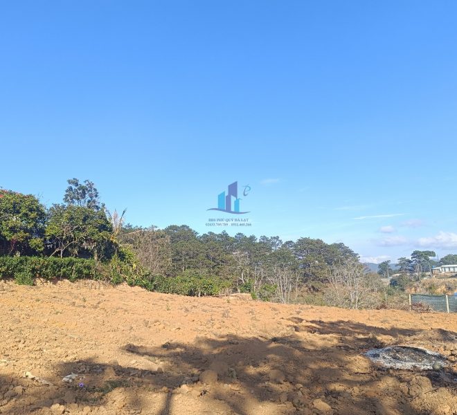 z5200922992479_d29966313c94ba226b9fa71313f42f3e