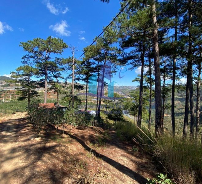 z5215940982272_21f3a52cc0d30162b8a23e6db8ca8547