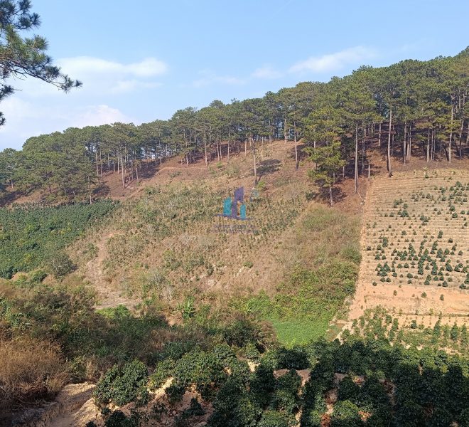 z5215941111673_b584e84553502059606d55a264289962