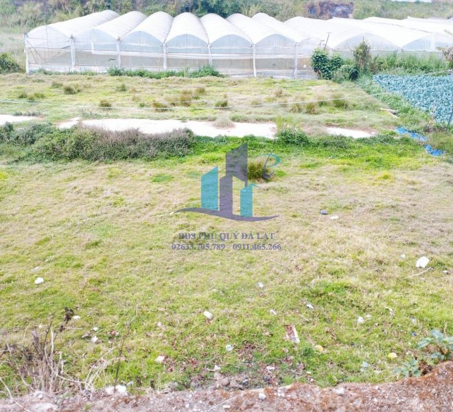 z5219372561769_c1f4f11f191eb4b0e2f1caf136ec41e0