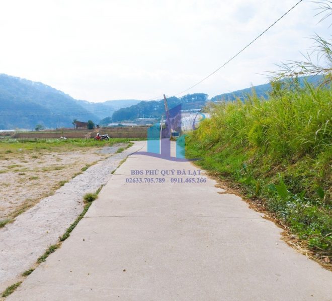 z5229882045366_ab5a3e4cc1302553ecebcf3c4e894cec