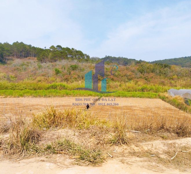 z5232918066646_00318f6765028e5d5f82e4b8238bad5d