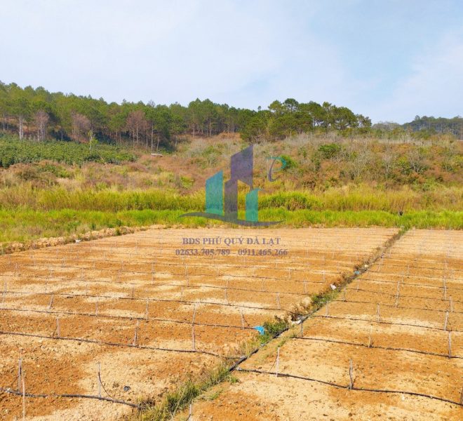 z5232918083624_44a50905513a7488b0fdca7d5e016c4b