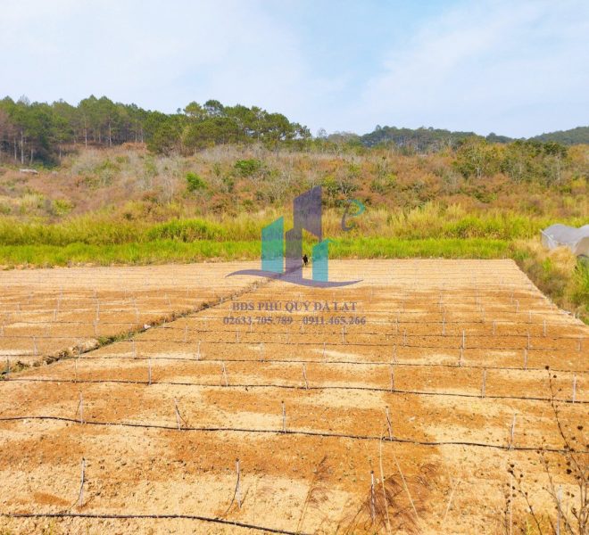 z5232918102138_e778d3ae3cba1755226a86d7475735b5