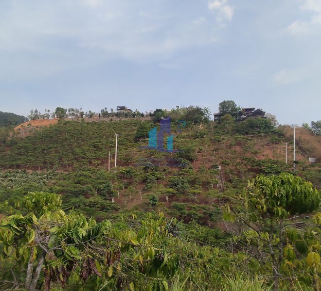 z5232921563495_78a584db1a758fcf51950a0991f2d445