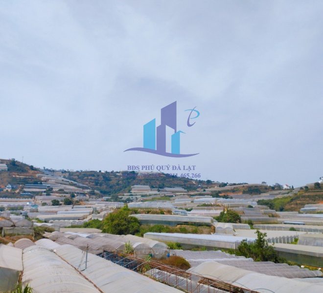 z5232953373792_73469e64a9ccbfb34d13c8a374db093c