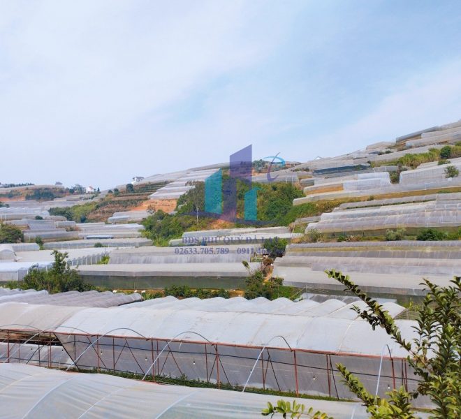 z5232953392288_a4782bd8d8230cad50a482efca419a00