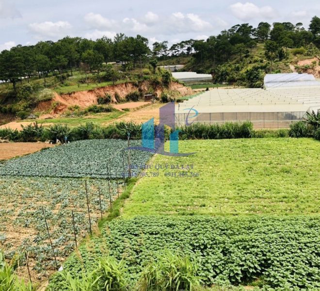 z5242042920303_67e812cef68c01dc09054096909891f4 (1)