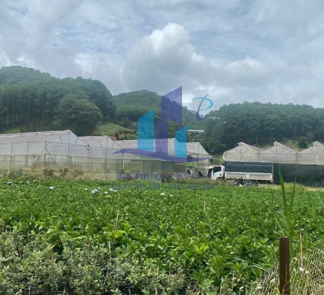 z5255278633036_23ad8e17c67c712045dcdaac101c09db