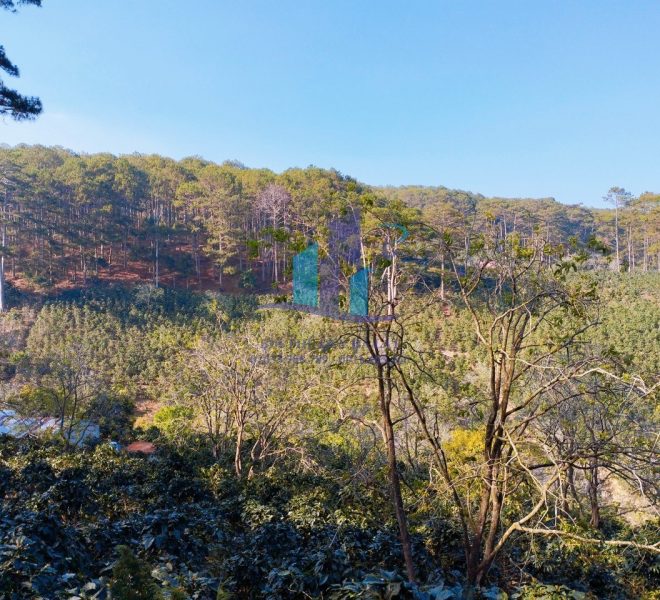 z5255284302713_7bd46488d13ba69a9c1c8bcb13bb45f2