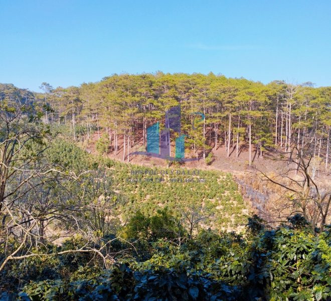 z5255284371114_3ddb394d22c80e05a3e0f1d4d12325f4