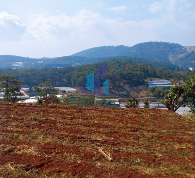 z5255287265062_7b9cb67ad71dc4c0e06807eba3cb8bbb