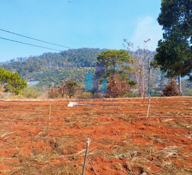 z5255287278407_d6d39b8b58723eba7fe30b4871084840