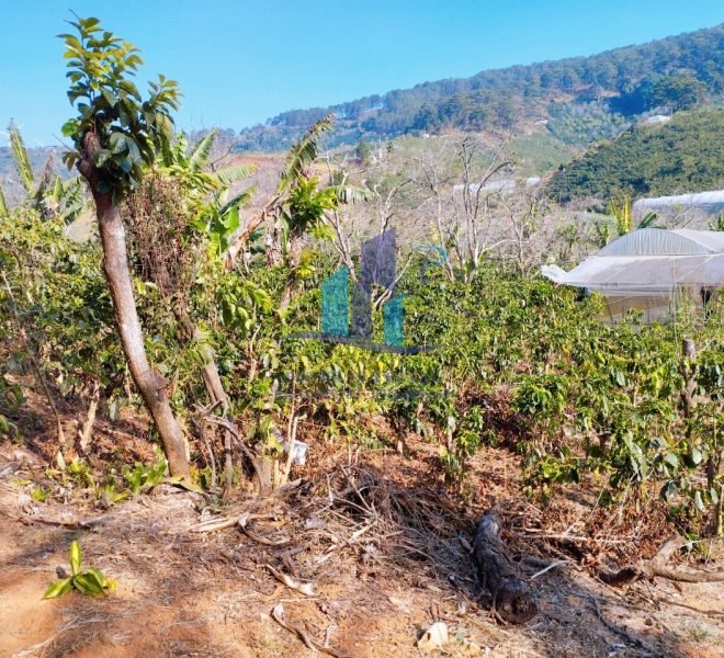 z5255289452061_6bf8159bb2a6acbf57a92993f8468c82