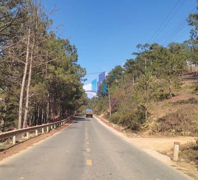 z5271237960245_01cd5c5073223782932cfacb4fa4fc77