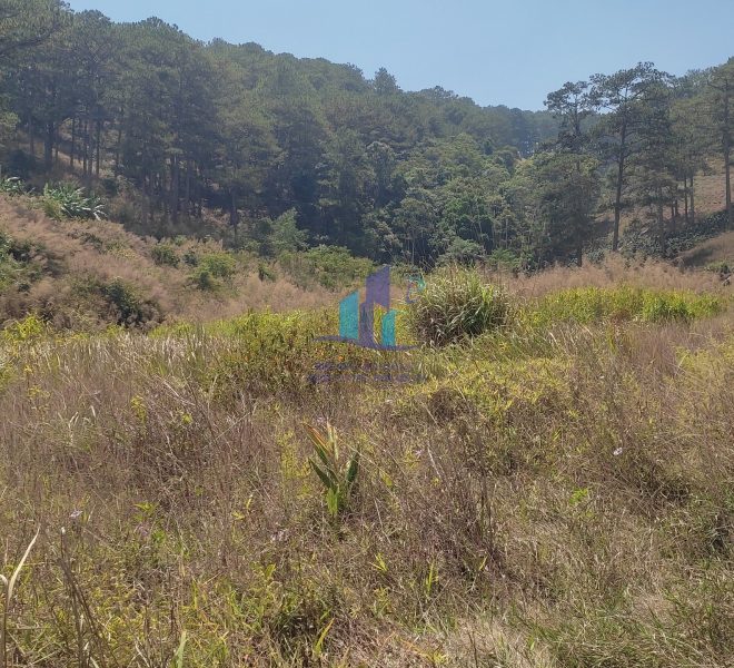 z5277394839507_e4f94e01ac283d4890f90ac9f39f3af8