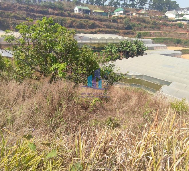 z5277398081083_12eacb61f6da8f5a28d1bce1cf988d91