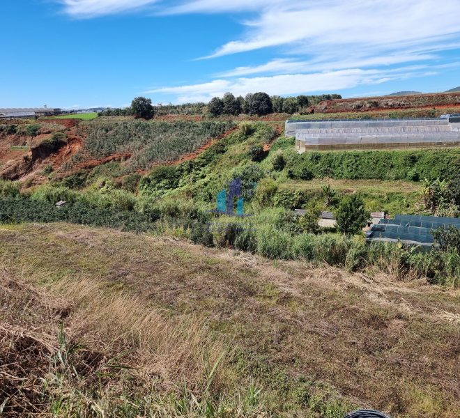 z5277409470257_b91474e653016b273f4079bcd026cbe3