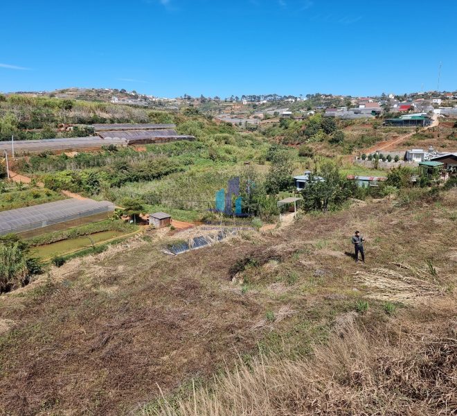 z5277409535505_e6f0285ad0c8b69c68fa61d5b7bc7de3