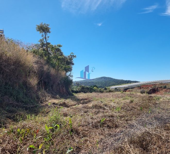 z5277409596886_99fb342b5f0bb5422784f406472b4707