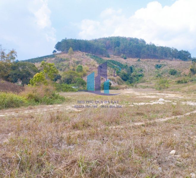 z5277429546772_a1add3b88b7b67e45f4514eee56c88da