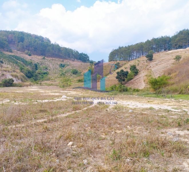 z5277429554668_95e8101aaceeb220d3a7dcc155f54248