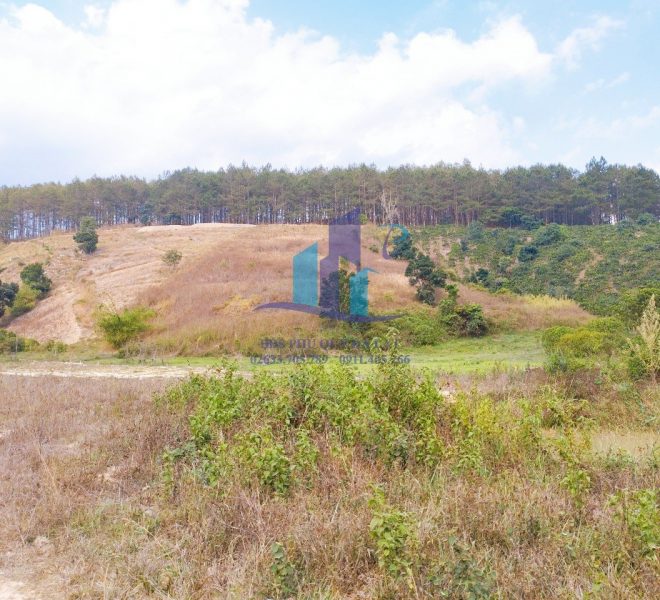 z5277429563445_3a220039998d0073b3d4af255f7d7784