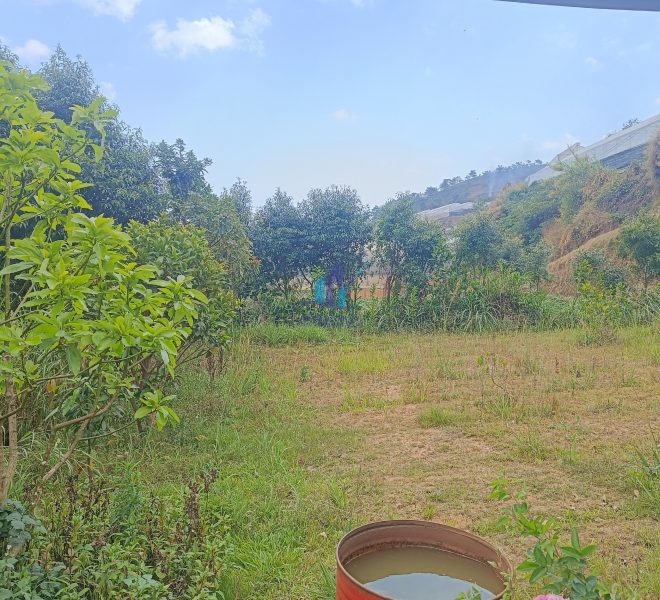 z5286720424709_467ca33f25d951ad6c6537d35562d360