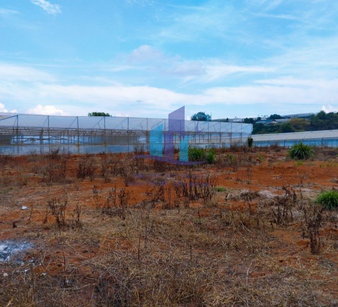 z5296644574309_b0a6845cf1a7ac36d176f9030f901263