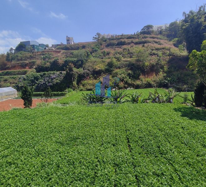 z5308918173881_dc63be161e944b34be7005bd7a3ef6c4