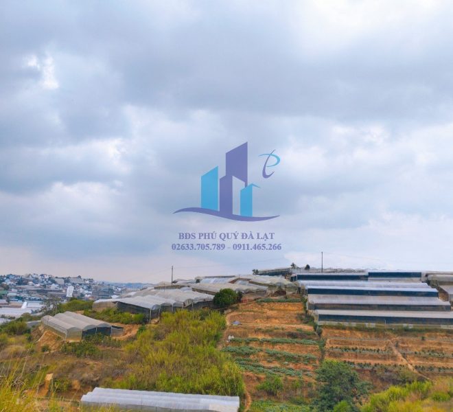 z5312422676990_094bf8fe3a0910df292806feb033b294