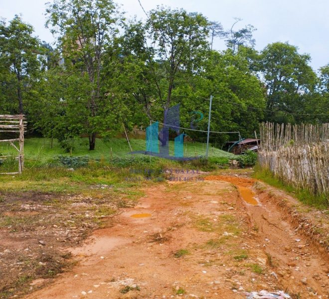 z5315768946547_d5d6134c813776129051f6073684d1e2