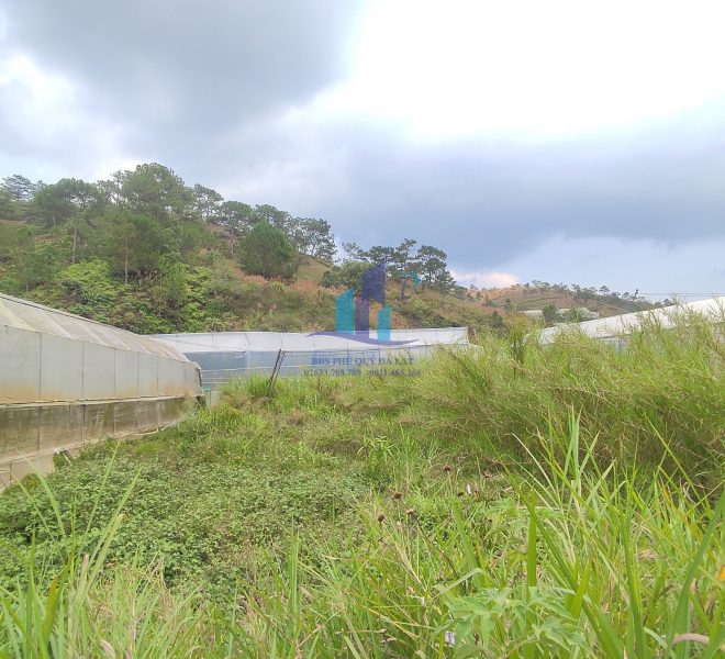 z5319123274664_3fff21738e80a38e6adb273f5a8ca3ea