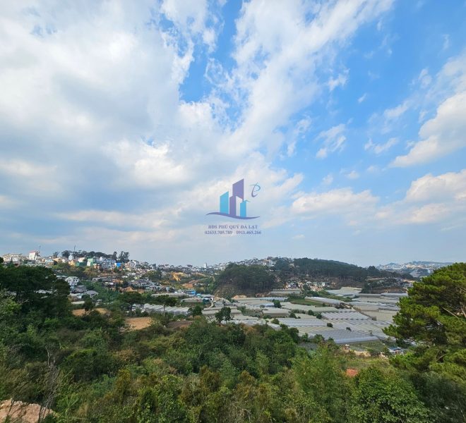 z5350579414799_fbfdfb63d9706ac081ccdda0076a892c