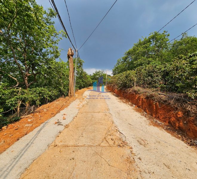 z5357368955938_39e50692f72914b7d67e8fea1d8d1f72