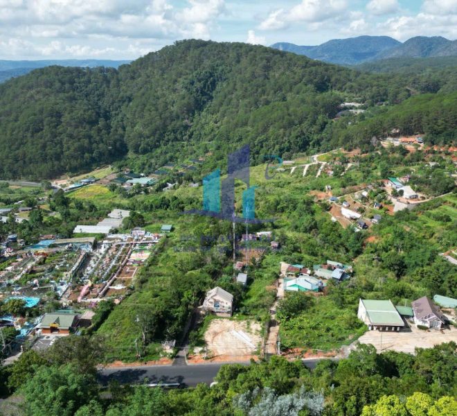 z5459063305048_25d6176820af51ca8d2e696be5aba614