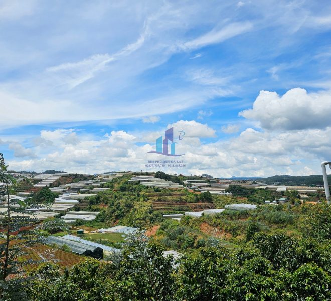 z5462291612741_6997279da787dd71896714ebe2197cc6