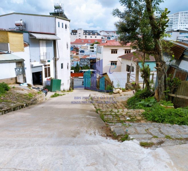 z5494716393666_df4a2ed34a994e09b867cbcb4d2fe5b0