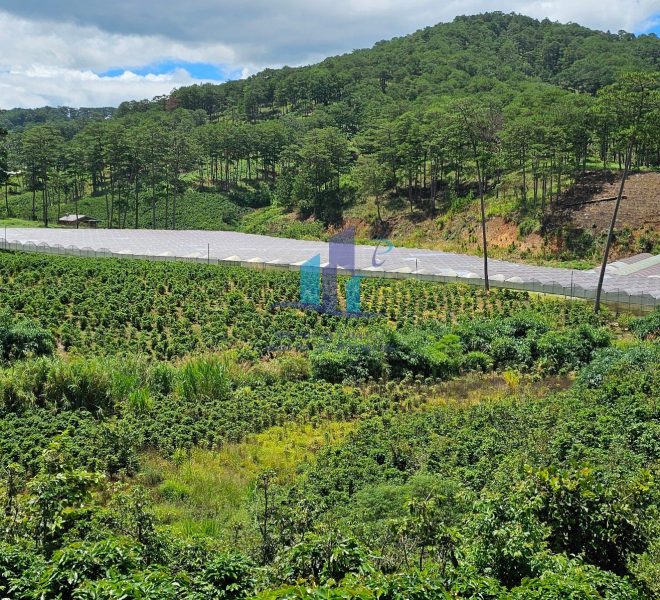 z5572802812781_dcd201fecb59e7883f871023aaefc4ca