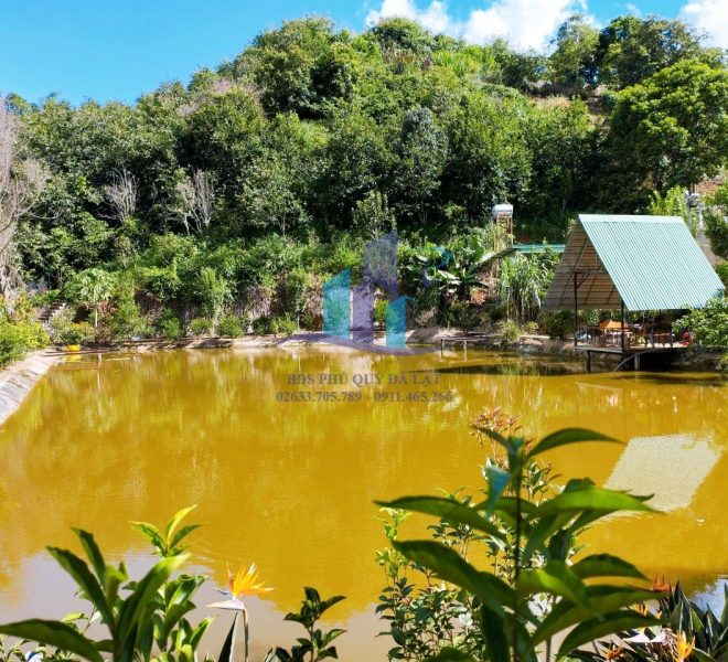 z5585651272649_0ca2fc60c2aa92fc95401b03afc694b6