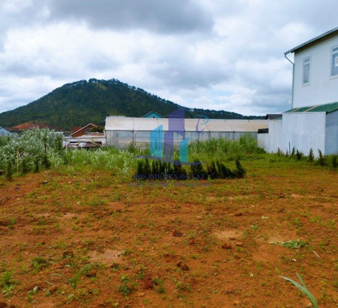 z5673619657817_b48a7e47223725dedac3456a63003a28