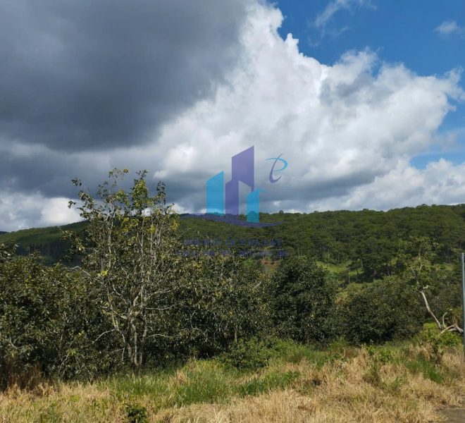 z5704994851873_9eae2dc87959459fe61e1c3f43fb547c